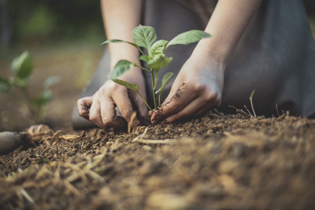 Plant Health Resources 1 Plant Health Resources 1